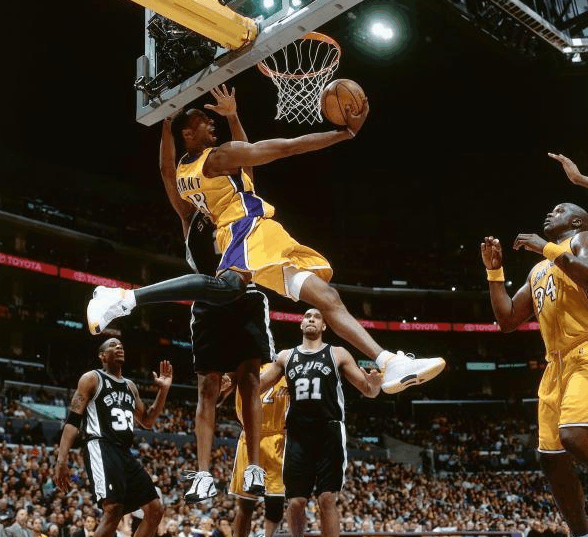 凤凰般绽放 凤凰般绽放